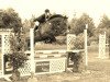 jumper Carl 30 (Hessian Warmblood, 2002, from Cantaro)