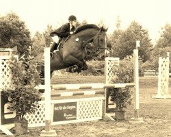 jumper Carl 30 (Hessian Warmblood, 2002, from Cantaro)