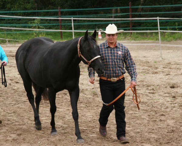 Zuchtstute Bos Black Olena (Quarter Horse, 2006, von Bo Upper Deck)