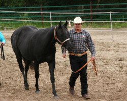 Pferd Bos Black Olena (Quarter Horse, 2006, von Bo Upper Deck)