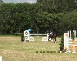 jumper Poseidon 128 (Oldenburg show jumper, 2004, from Pilot)