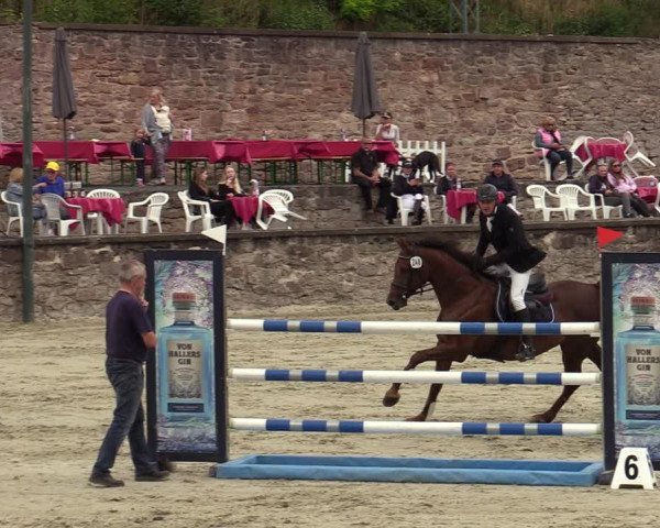 Reitturnier Nörten-Hardenberg 2022
