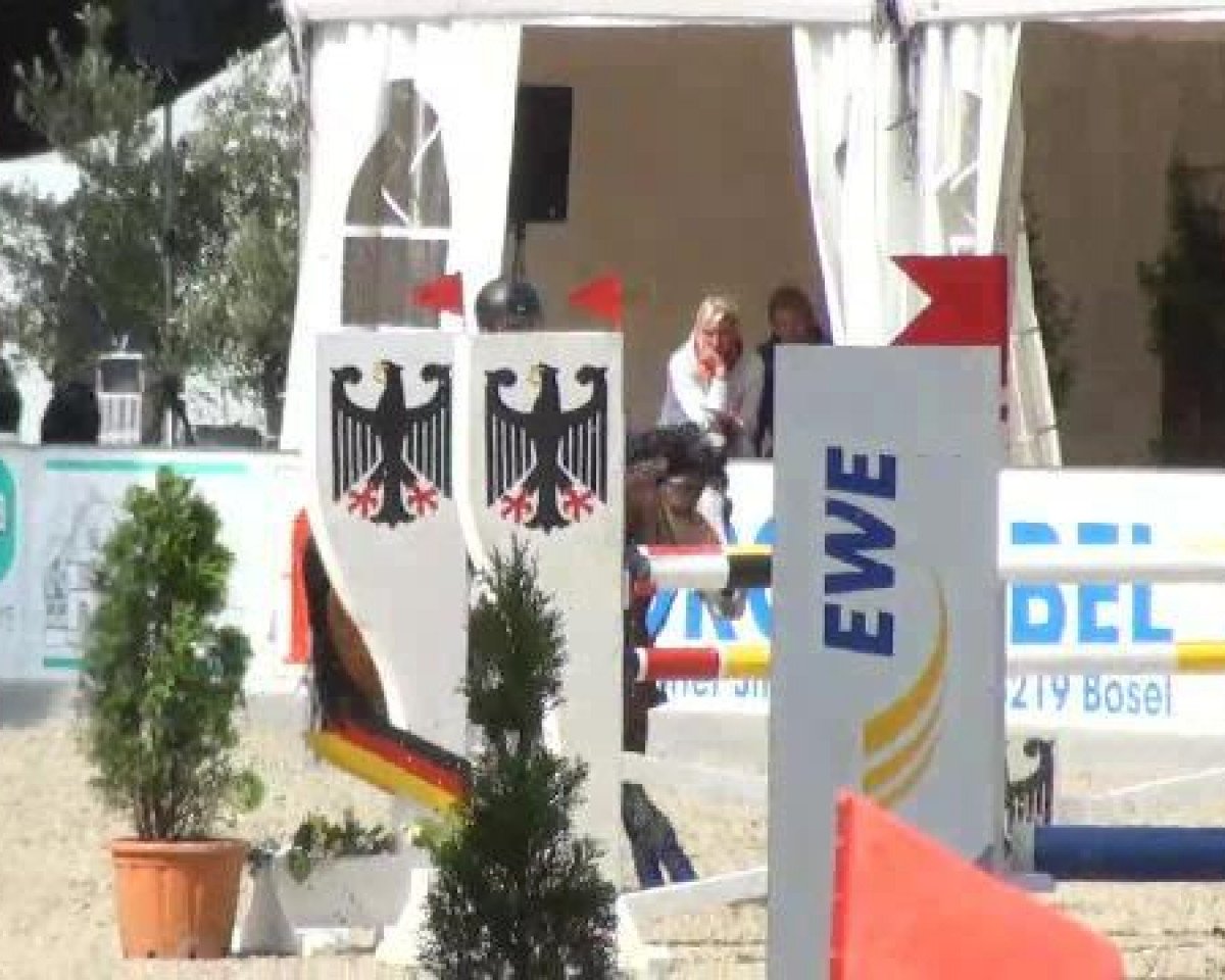 stallion Dow Jones 34 (German Riding Pony, 2000, from Douglas)