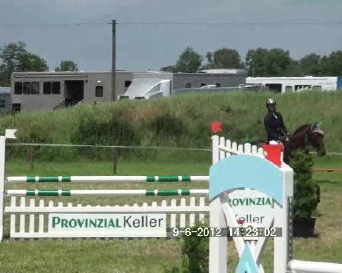 jumper Cylie 2 (Westphalian, 2002, from Calido I)