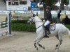 jumper Nesquick (German Riding Pony, 2002, from Top Nantario)