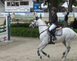 jumper Nesquick (German Riding Pony, 2002, from Top Nantario)