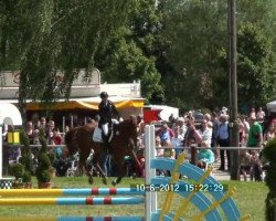 jumper Leon 547 (Hanoverian, 2004, from Le Primeur)