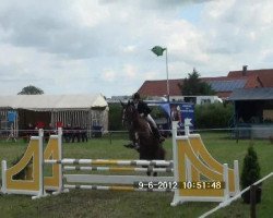 dressage horse Rhilana W (Hanoverian, 2006, from Royal Blend)