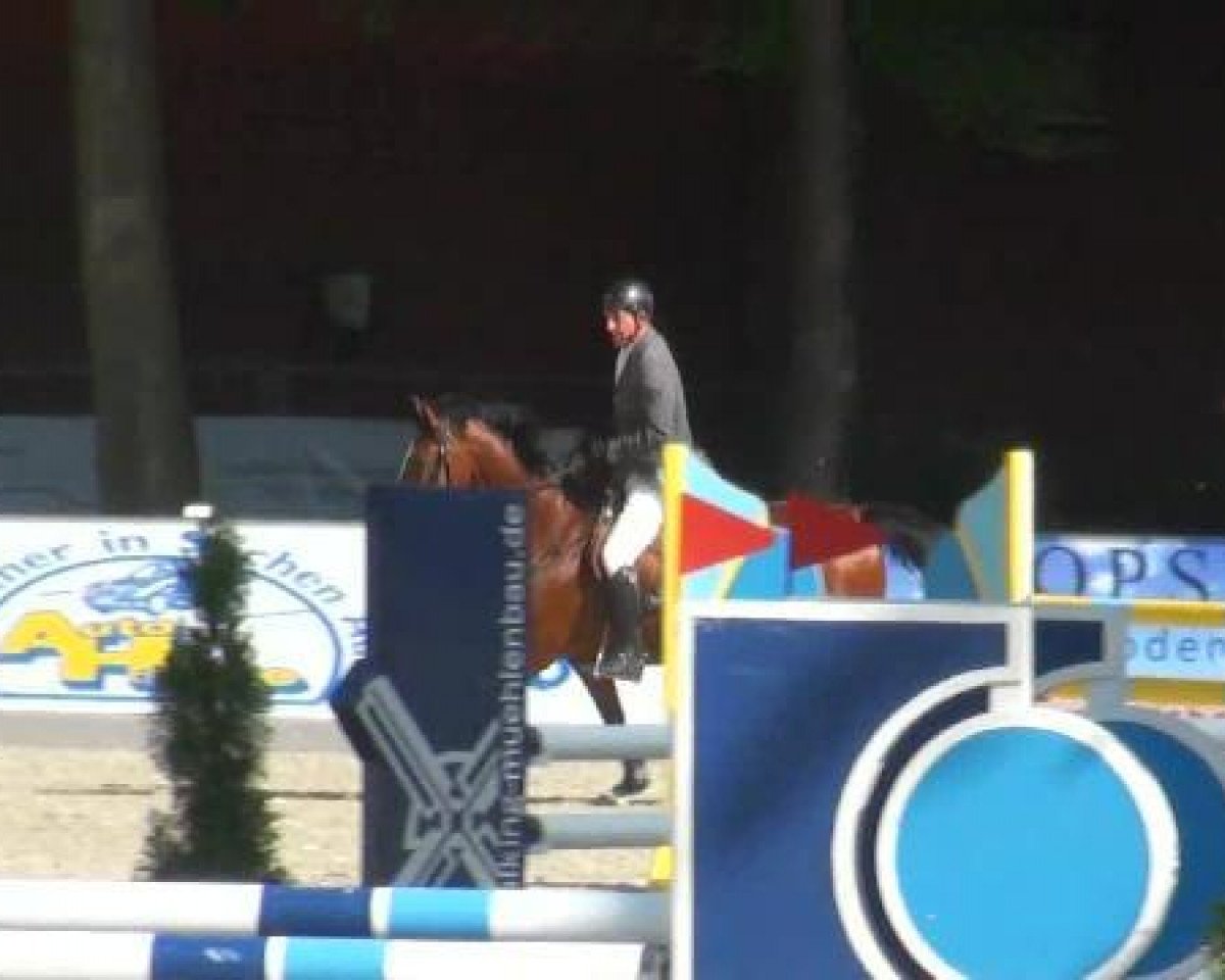 broodmare Leandra 184 (Oldenburg, 2002, from Lando)