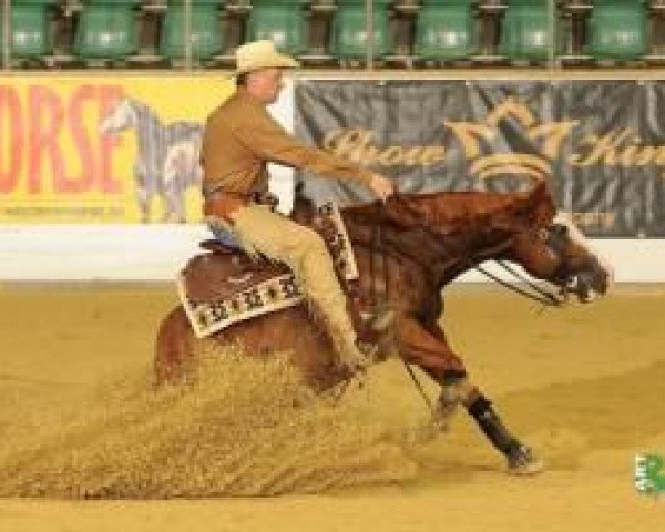 Pferd Lil Ruf Bandit (Quarter Horse, 2003, von Lil Ruf Peppy)