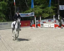 jumper Landgräfin 47 (Oldenburg show jumper, 2007)