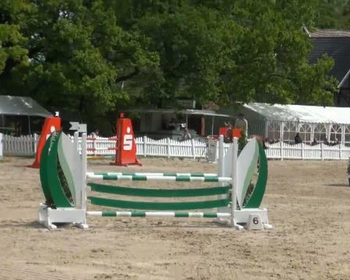 Zuchtstute Cartanja (Oldenburger Springpferd, 2006, von Cartogran)