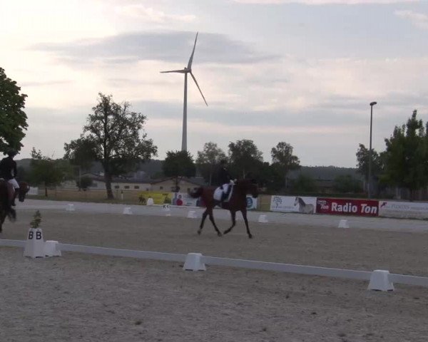 Reitturnier Rot am See- Musdorf 2022