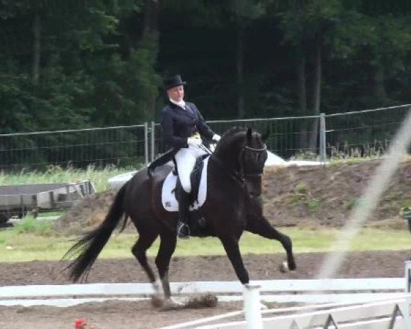 stallion Sirlano (Hanoverian, 2005, from Sir Donnerhall I)