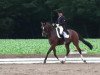 dressage horse Duvon 2 (Westphalian, 2003, from Dimension)