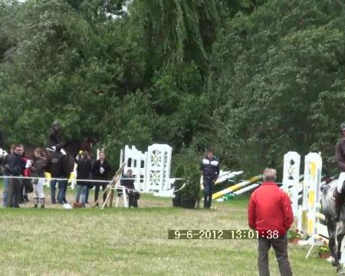 horse Eligius Euler (Hanoverian, 2005, from Embassy I)