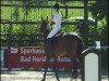 jumper West Side's Anny (German Warmblood, 2005, from Quinn Step)