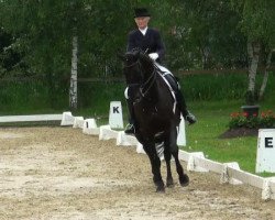 dressage horse Mambo 164 (Westphalian, 2002, from Montmartre)