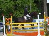 jumper Checker 29 (Hessian Warmblood, 2007, from Contendro I)