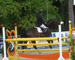 jumper Checker 29 (Hessian Warmblood, 2007, from Contendro I)