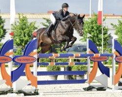 jumper L'Arcaline de La Goette Z (Zangersheide riding horse, 2013, from L'Arc de Triomphe)