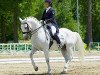 dressage horse D Niro (Swedish Warmblood, 1999, from D-Day)