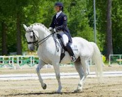 dressage horse D Niro (Swedish Warmblood, 1999, from D-Day)