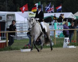 stallion Hortelano SB (Pura Raza Espanola (PRE), 2005, from Dulzon IX)