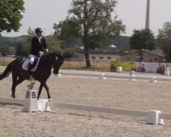 Reitturnier Rot am See- Musdorf 2022