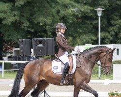 dressage horse Loenneberga of Drinkuth Castle (Hanoverian, 2017, from Libertad FRH)