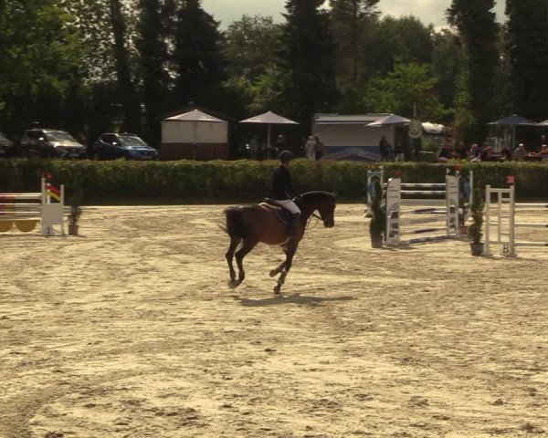 Reitturnier Vlotho-Exter 2022