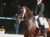 dressage horse Tony 47 (unknown, 2000)