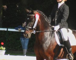 dressage horse Tony 47 (unknown, 2000)