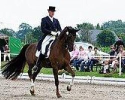 dressage horse Darlings Dream (Swiss Warmblood, 2002, from Day Dream)