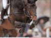 stallion Catrick I (Holsteiner, 1993, from Calando I)