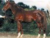 stallion Grand Garcon (Hanoverian, 1980, from Garibaldi II)