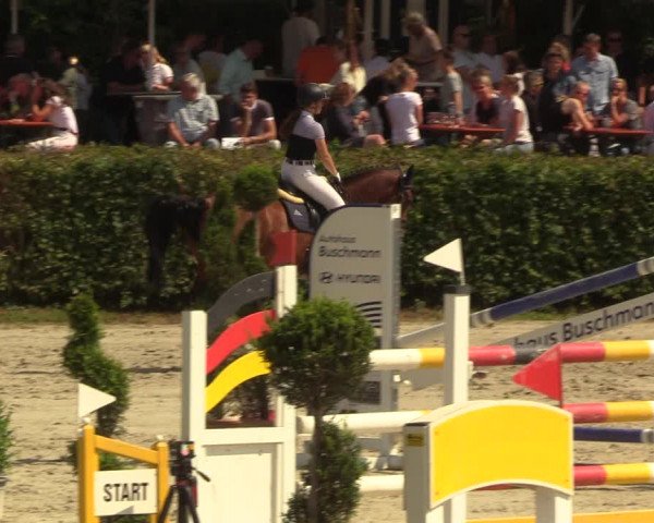 Reitturnier Vlotho-Exter 2022