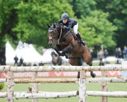 stallion DSP Danthes H (German Sport Horse, 2003, from Dream Dancer xx)