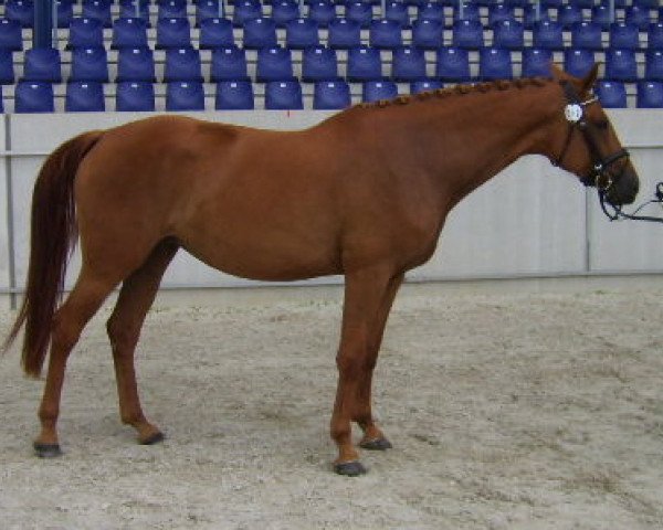 broodmare Roxana (Rhinelander, 2005, from Moosbends Ricardos)