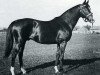 Pferd Sicambre xx (Englisches Vollblut, 1948, von Prince Bio xx)