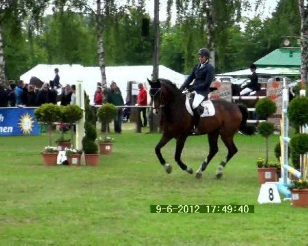 jumper Carlo 213 (Hanoverian, 1998, from Compliment)