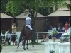 jumper Conley 17 (Hanoverian, 2007, from Contendro I)