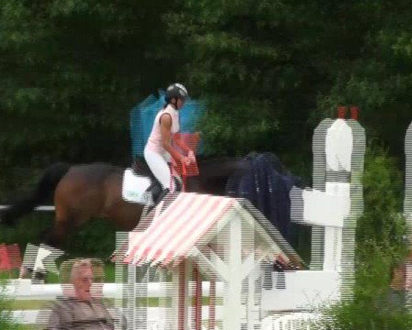 Springpferd Flori T (Westfale, 1997, von Florestan I)