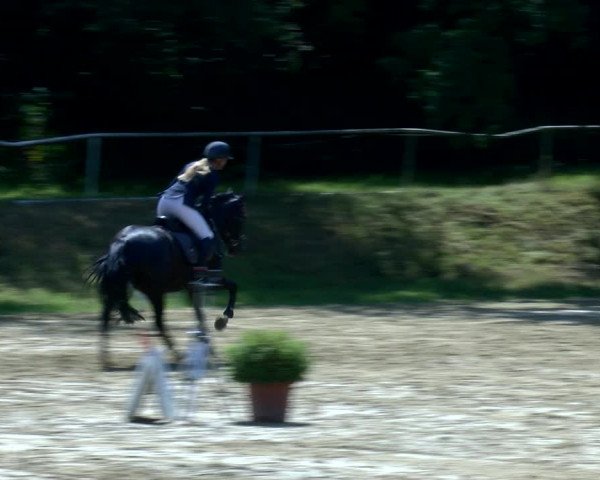 Reitturnier Viersen-Dülken 2022