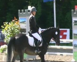 Springpferd Graslahof's Pie (Deutsches Reitpony, 2001, von FS Pontiac)