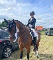 dressage horse Batida 96 (Oldenburg, 2003, from Lycos)