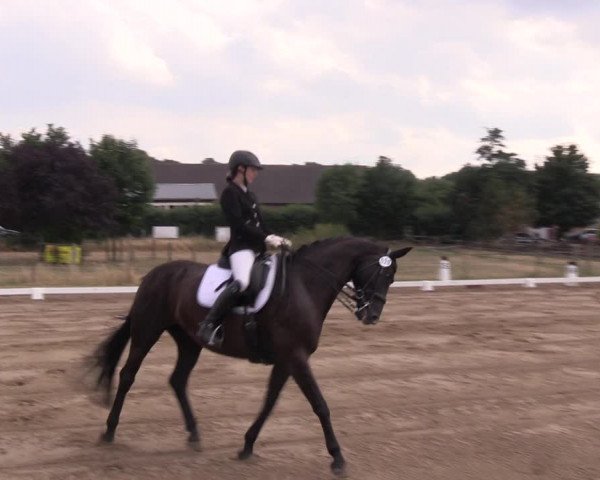 Reitturnier Halle-Seeben 2022