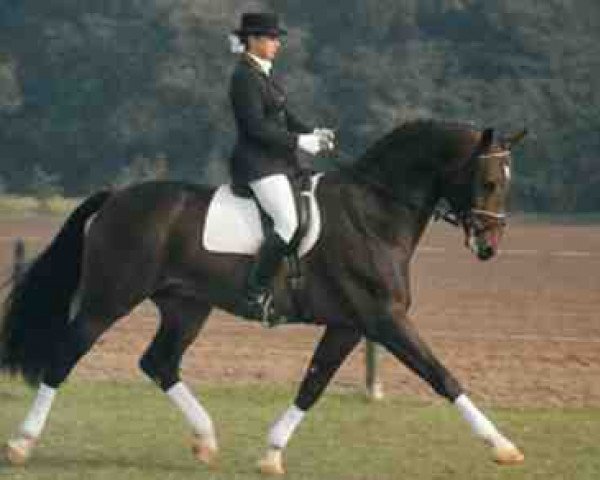 stallion Renoir I (Westphalian, 1981, from Romadour II)