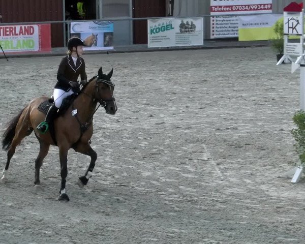 Reitturnier Ehningen 2022