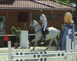 broodmare Etoscha (Hanoverian, 1997, from Escudo I)